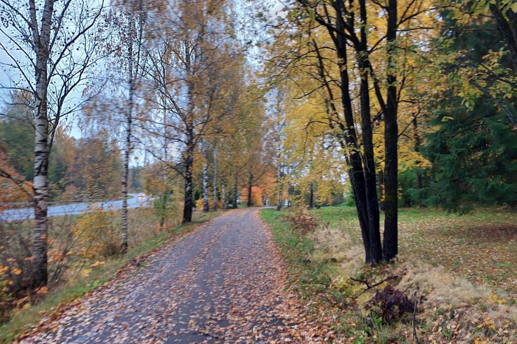 lite regn har aldrig skadat nån